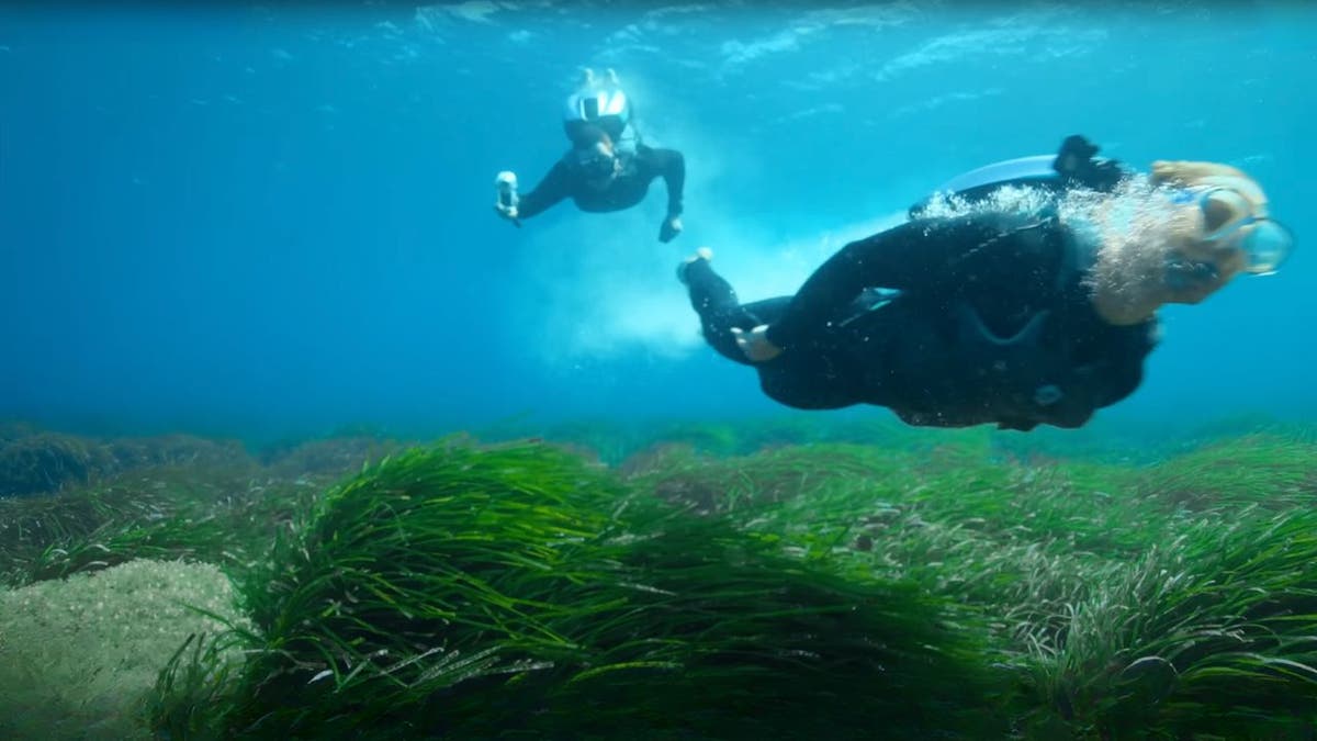 Jetpack Underwater's backpack allows you to explore the depths of the oceans