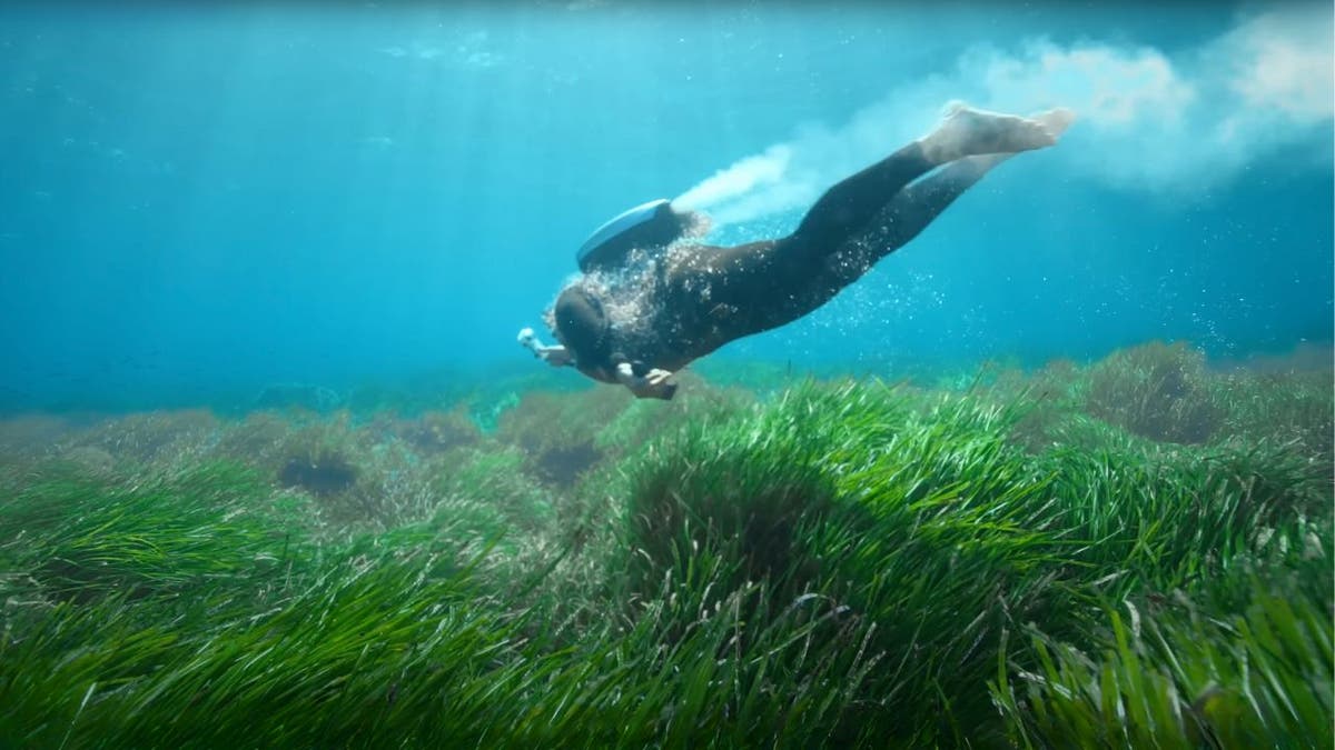 Jetpack Underwater's backpack allows you to explore the depths of the oceans
